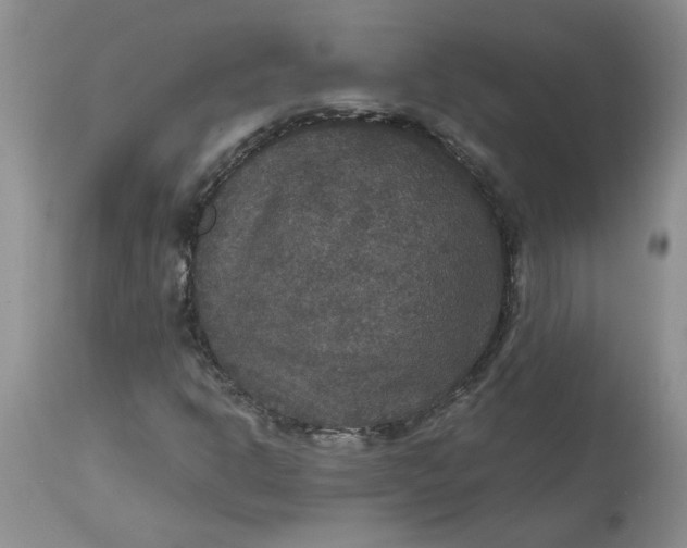 X0000113181302200909251432