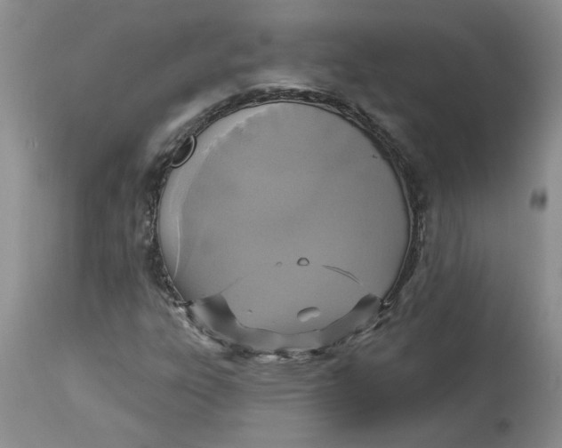 X0000113181303200909251432