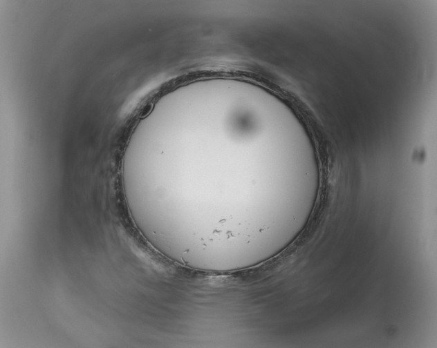 X0000113181304200909251432