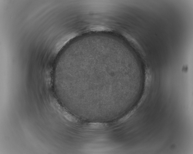 X0000113181305200909251432