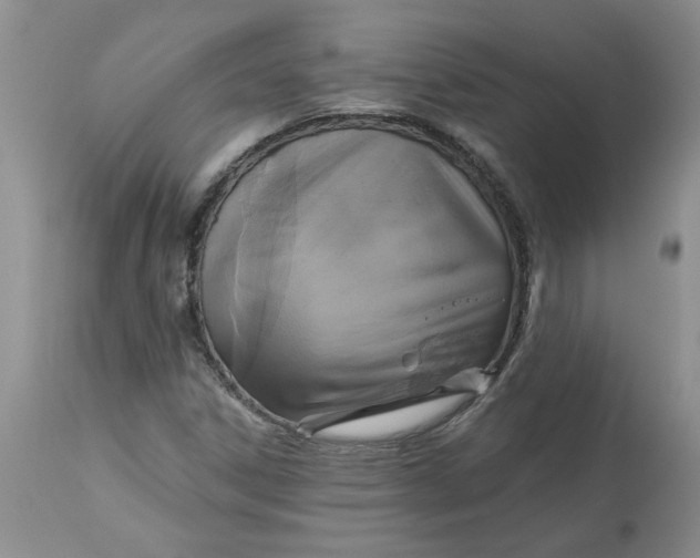 X0000113181306200909251432