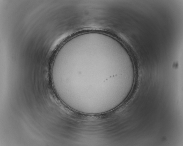 X0000113181307200909251432