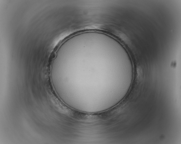 X0000113181308200909251432