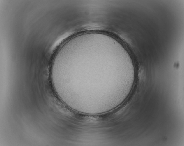 X0000113181309200909251432