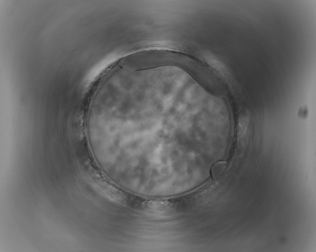 X0000113181310200909251432