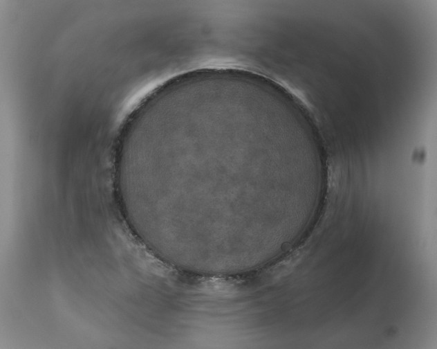 X0000113181311200909251432