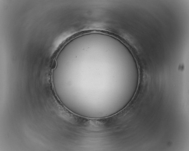 X0000113181312200909251432