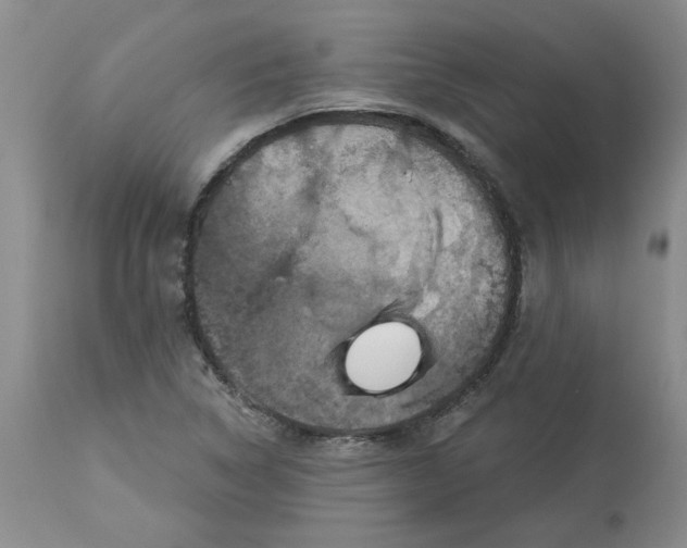 X0000113181314200909251432