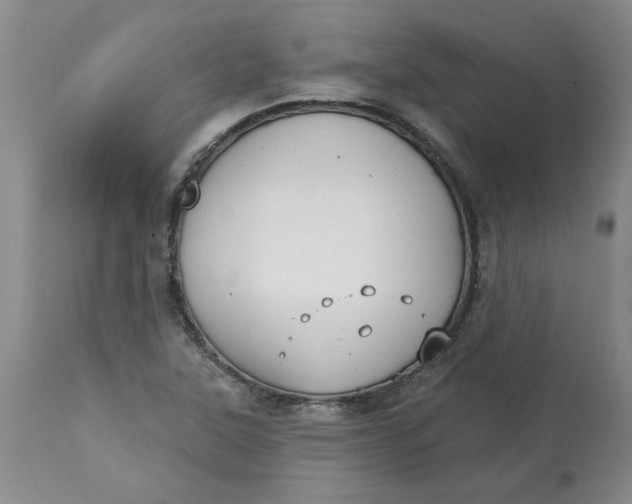 X0000113181315200909251432