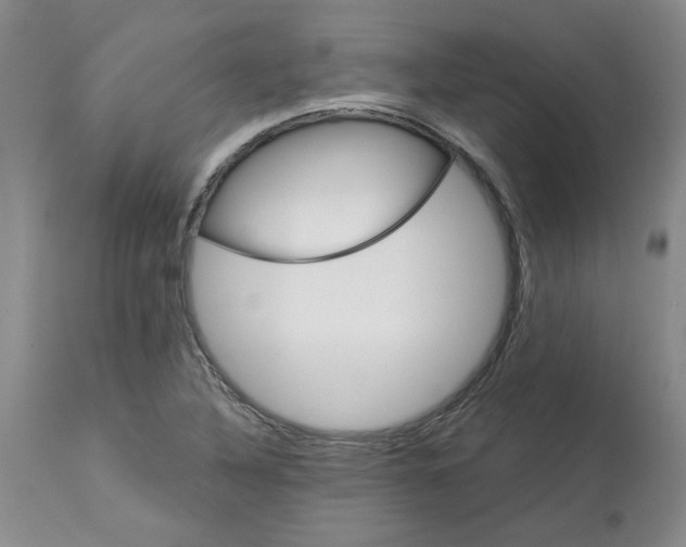 X0000113181316200909251432