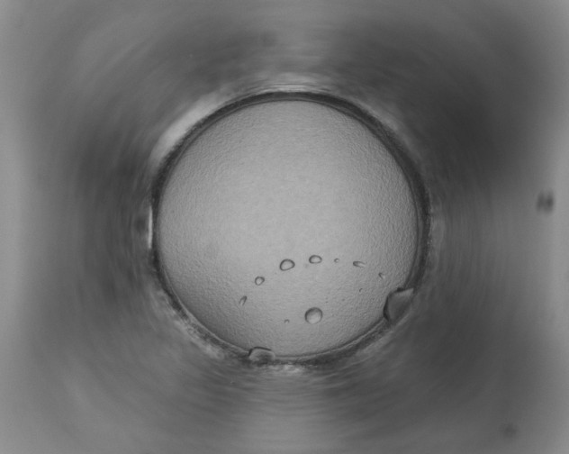 X0000113181317200909251432