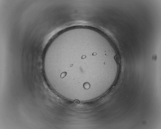 X0000113181318200909251432