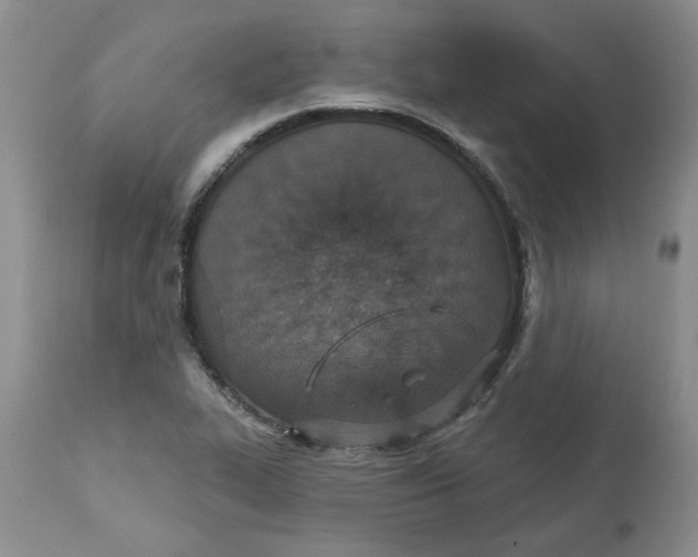 X0000113181319200909251432