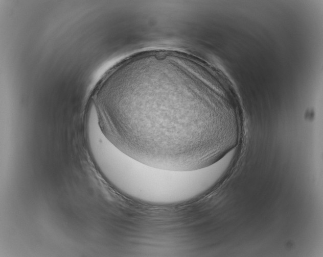 X0000113181320200909251432