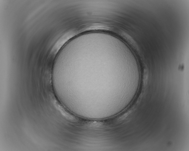 X0000113181321200909251432