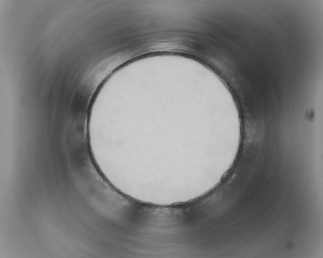 X0000113181322200909251432