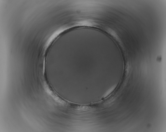 X0000113181323200909251432