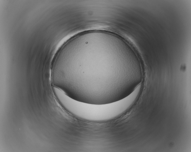 X0000113181324200909251432