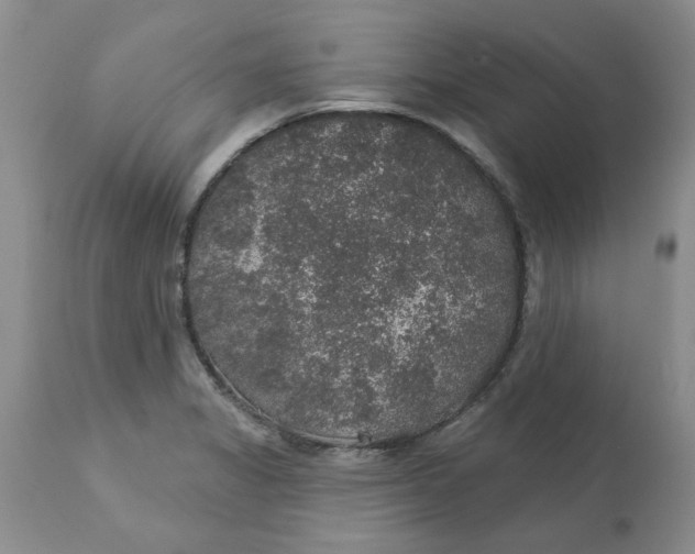 X0000113181325200909251432