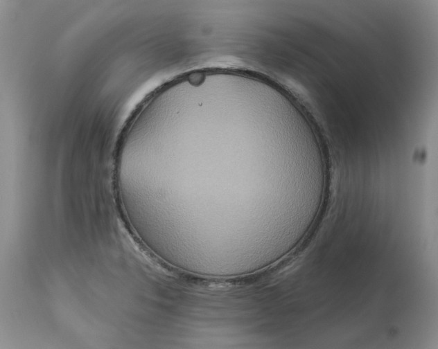 X0000113181326200909251432