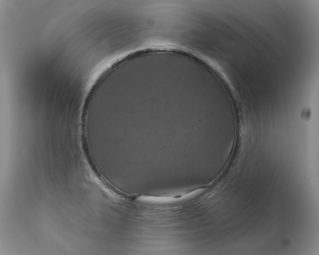 X0000113181327200909251432