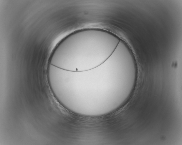 X0000113181328200909251432