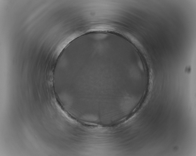 X0000113181329200909251432