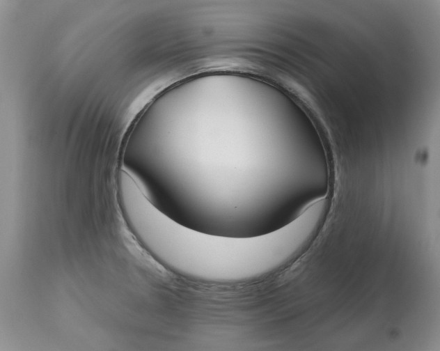 X0000113181330200909251432