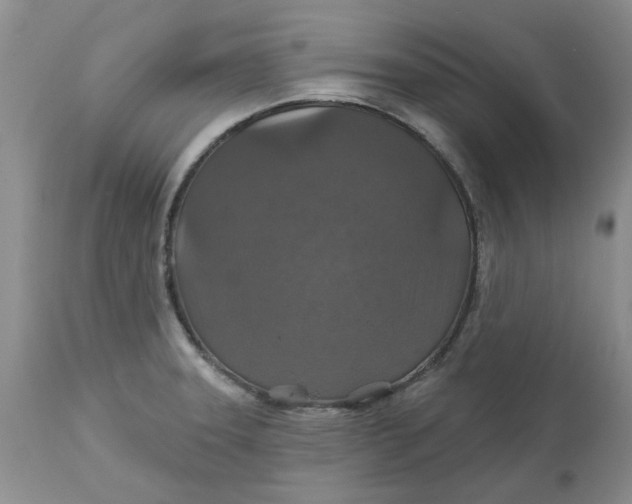 X0000113181331200909251432