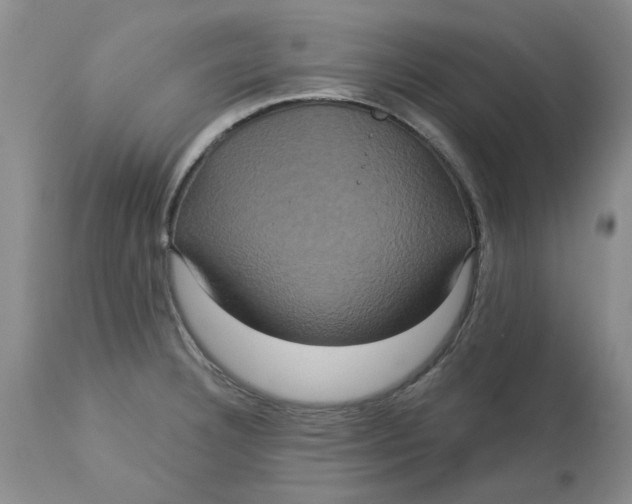 X0000113181332200909251432