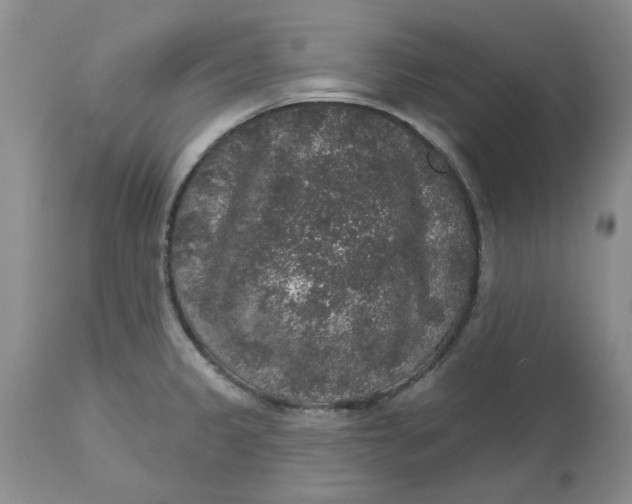 X0000113181333200909251432