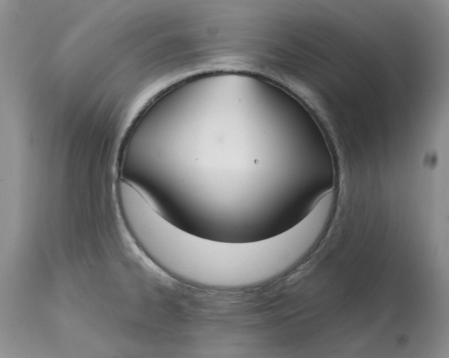 X0000113181334200909251432