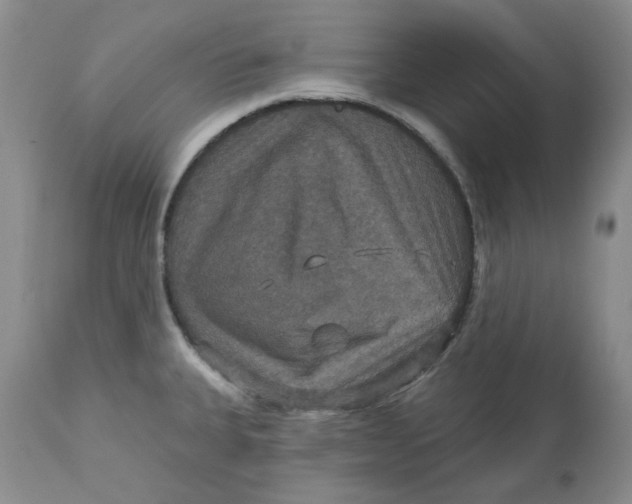 X0000113181335200909251432