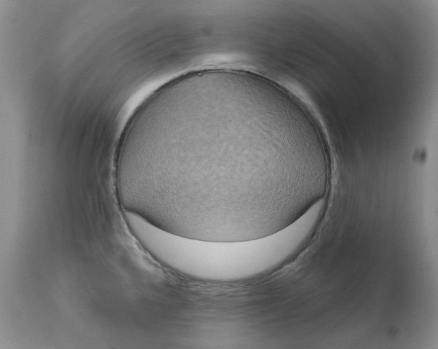 X0000113181336200909251432