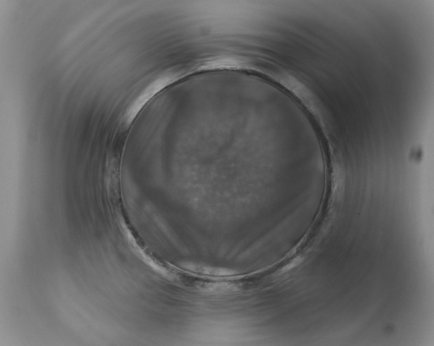 X0000113181337200909251432