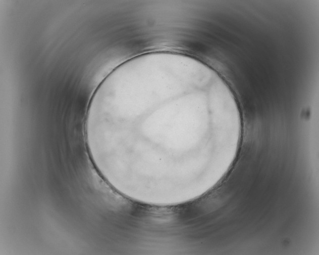 X0000113181338200909251432