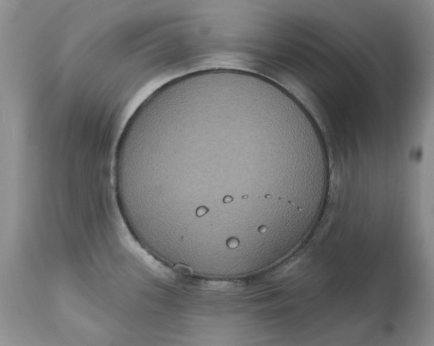 X0000113181339200909251432