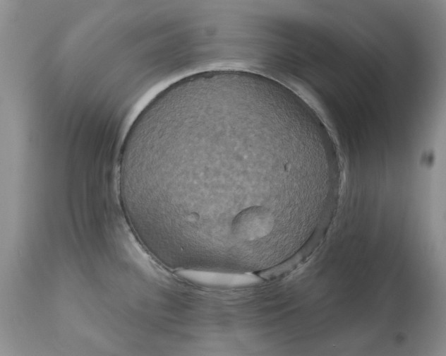 X0000113181340200909251432