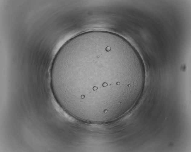 X0000113181341200909251432