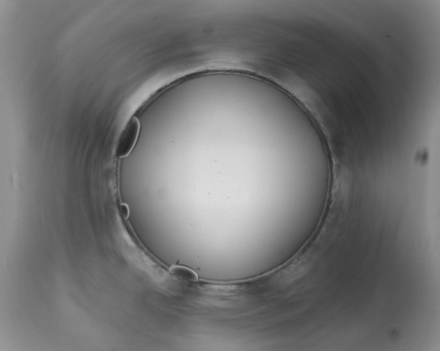 X0000113181342200909251432