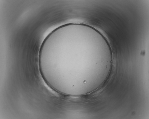 X0000113181343200909251432