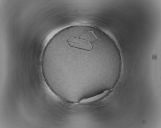 X0000113181344200909251432