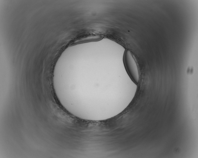 X0000113181345200909251431