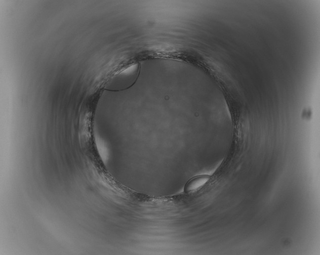 X0000113181346200909251431