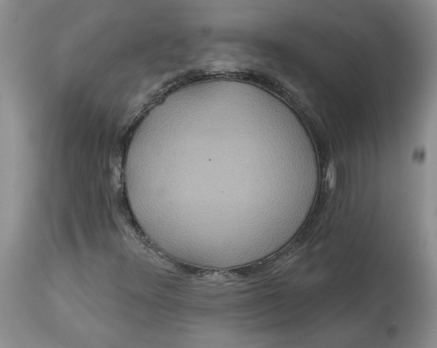 X0000113181348200909251431