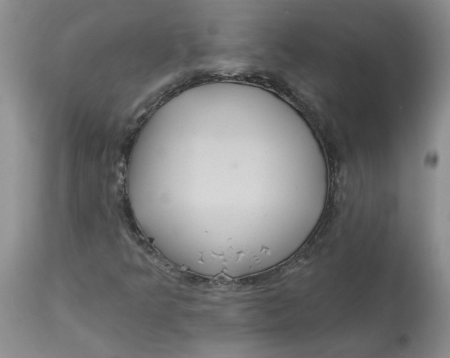 X0000113181349200909251431