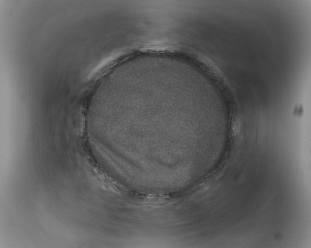 X0000113181350200909251431