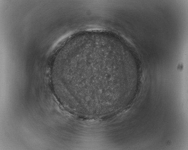 X0000113181351200909251431