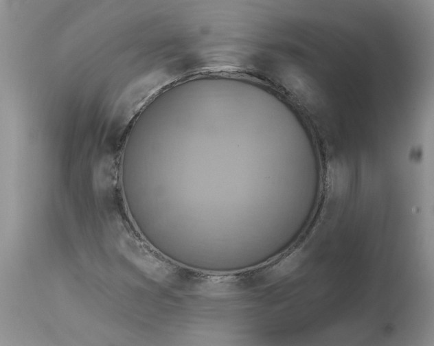 X0000113181353200909251431