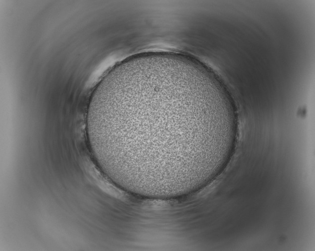 X0000113181355200909251431